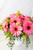 Chispitas de Gerberas / Gerbera Rosa TORREÓN