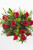 Doce Momentos / Rosa Roja TECÁMAC