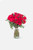 Amor con Rosas / Rosa Roja TJ