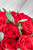 Catarina / Caja Rosas Rojas GDL