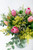 Amistad / Tulipanes GDL