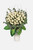 Arreglo Fúnebre / 50 Rosas Blancas GDL
