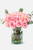 Flamingo Domingo / Rosa Clarita MTY