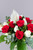 Aire Tropical / Rosa Roja y Blanca con Cuna de Moisés MTY