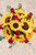 Ocaso / Girasol y Rosa Roja MTY