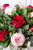 Puesta de Sol / Peonia Eterna y Rosa Roja CUN