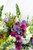 Aurora Boreal / Lisianthus Morada, Morelianas y Perrito Blanco CUN