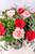 El Noa Noa / Rosa Roja y Clavel Rosa LEON