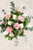 Arabella / Rosa Blanca y Clavel Rosa LEON
