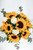 Cuando Calienta el Sol / Girasol y Clavel Blanco GTO.