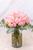 Flamingo Domingo / Rosa Clarita GTO.