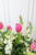 Aires de Holanda / Tulipán y Perrito Blanco GTO.