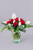 Aire Tropical / Rosa Roja y Blanca con Cuna de Moisés GTO.