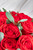 Catarina / Caja Rosas Rojas MZN