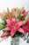Las Brisas / Lilium Rosa MZN