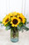 Sonrisa de Sol / Girasoles SALTILLO