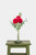 Bella / Tres Rosas Rojas PACH.