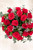 Amor Perfecto / Rosa Roja PACH.