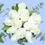 Amor y Paz / Rosa Blanca PACH.
