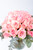 Flamingo Domingo / Rosa Clarita PACH.