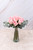 Flamingo Domingo / Rosa Clarita PACH.