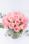 Flamingo Domingo / Rosa Clarita QRO.
