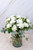 Rivera / Clavel Blanco QRO.