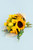 Ramo Girasol y Rosa Amarilla / Envoltura Yute APO