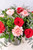 El Noa Noa / Rosa Roja y Clavel Rosa TOL
