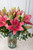 Las Brisas Flores / Lilium Rosa TEP