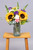 Emocionante / Girasol, Clavel Rosa y Blanco, Hortensia TEP