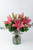 Las Brisas Flores / Lilium Rosa TAMPS