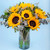 Sonrisa de Sol / Girasoles ZAC