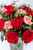 El Noa Noa / Rosa Roja y Clavel Rosa MER