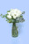 Amor y Paz / Rosa Blanca MER