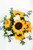 Cuando Calienta el Sol / Girasol y Clavel Blanco PUEBLA.