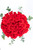 La Vida en Rosa / Rosas Rojas PUEBLA.