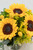 Eterna Primavera / Girasol y Craspedia 21SF (B)