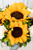 Cuando Calienta el Sol / Girasol y Clavel Blanco | 21SF (B)