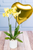 Globo Corazón Amarillo con Orquídea Amarilla - En Maceta Blanca | Mercado Jamaica 21S