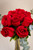 La Vida en Rosa Petite / Rosa Roja ACA