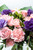 Amor Bonito / Rosa Clarita, Clavel Rosa y Lisianthus CEL.