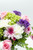Alma de Vino / Rosa Clarita, Clavel Blanco y Hortensia CULIACAN