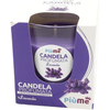 PIUME CANDELA PROFUMATA PROFUMAZIONE AMBIENTE LAVANDA 120 GRAMMI