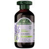 ANTICA ERBORISTERIA SHAMPOO ILLUMINANTE LAVANDA CAPELLI NORMALI 250 ML  