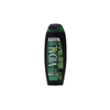 VIDAL DOCCIA SCHIUMA250 ML MINT & GINKGO