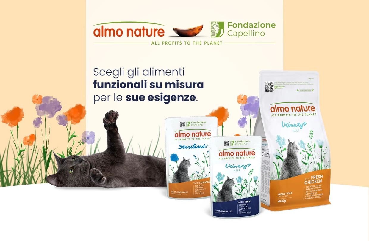 Come gestire al meglio la routine alimentare del tuo gatto