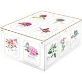 LAVATELLI SCATOLA BOTANIC 39x50x24