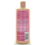 PROVOST BALSAMO EXPERT COULEUR 750 ML.  