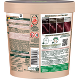 GARNIER GOOD COLORAZIONE PERMANENTE SENZA AMMONIACA CASTANO ALBA ARDENTE 4.61